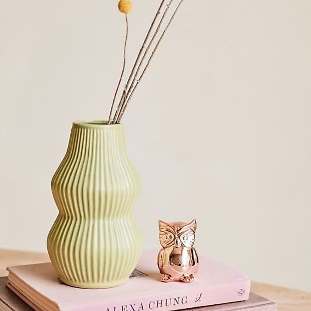 Vaso De Porcelana Moderno Decoração
